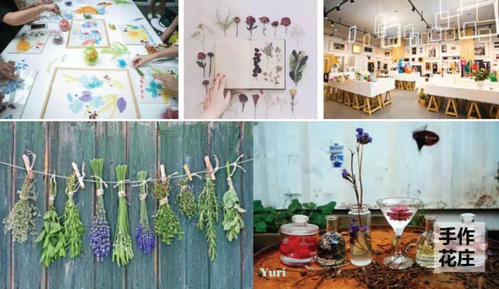 1495762306336448q6YO.png 1495762306336448q6YO.png